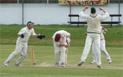 Cricket celebrations